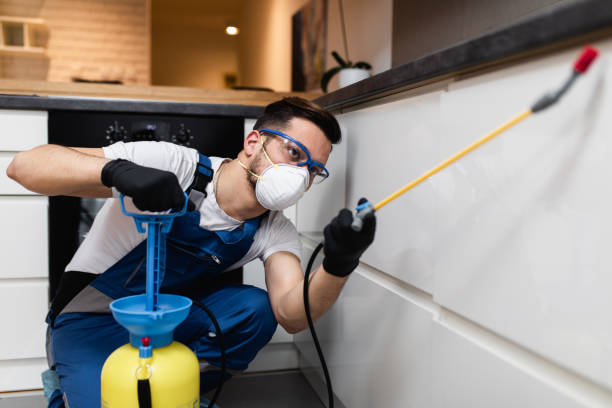 Best Termite Control Services  in Fountainhead Orchard Hills, MD