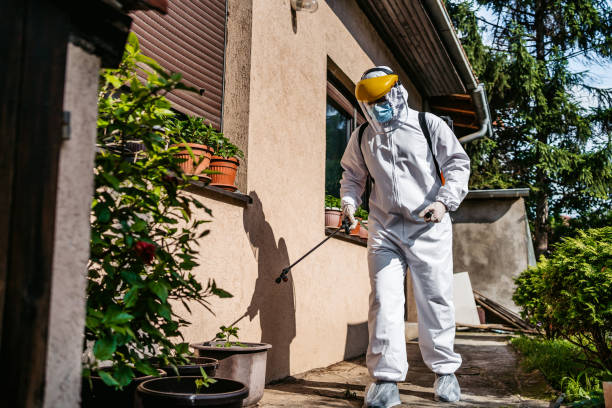 Best Emergency Pest Control  in Fountainhead Orchard Hills, MD