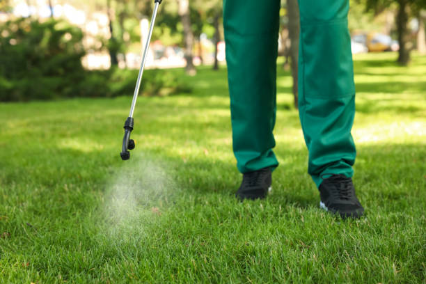 Best Residential Pest Control  in Fountainhead Orchard Hills, MD