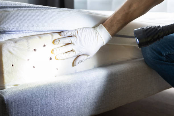 Best Commercial Pest Control Services  in Fountainhead Orchard Hills, MD