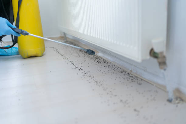 Reliable Fountainhead Orchard Hills, MD Pest Control Solutions